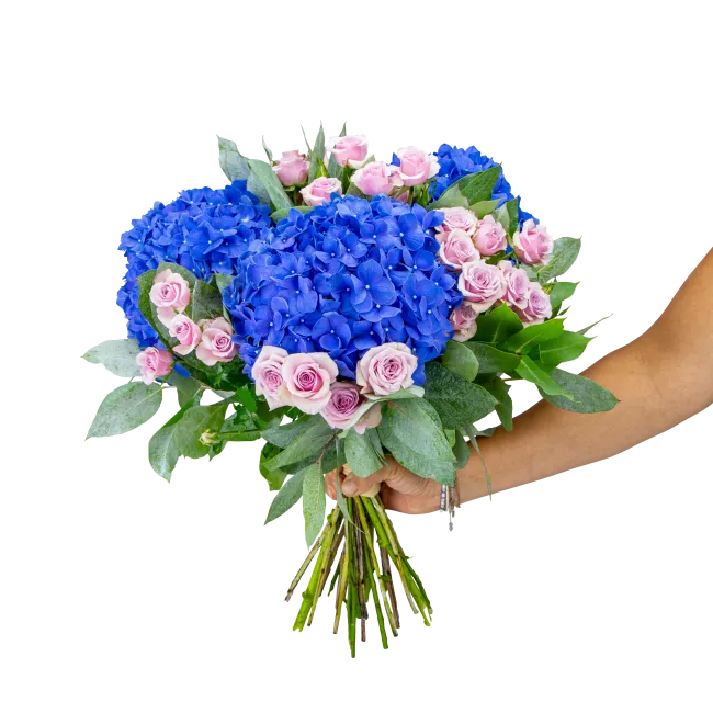 Bouquet of hydrangeas and spray roses